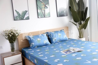 Bộ chăn ga gối cotton lụa Hàn Quốc