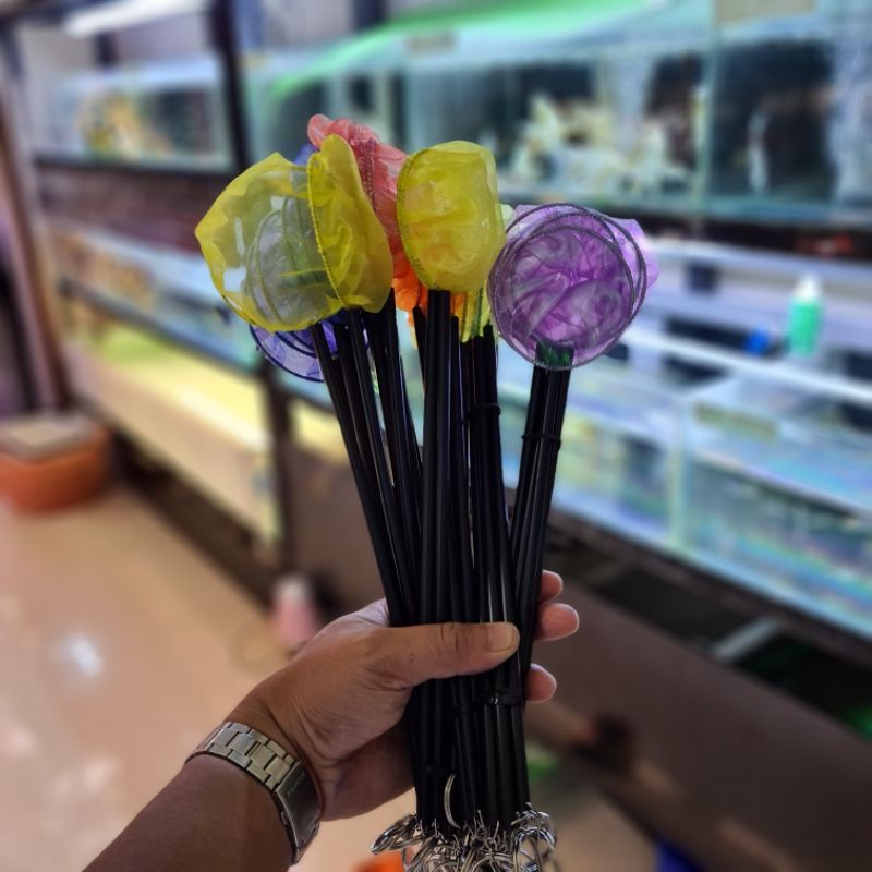 Stupid Vợt đủ màu