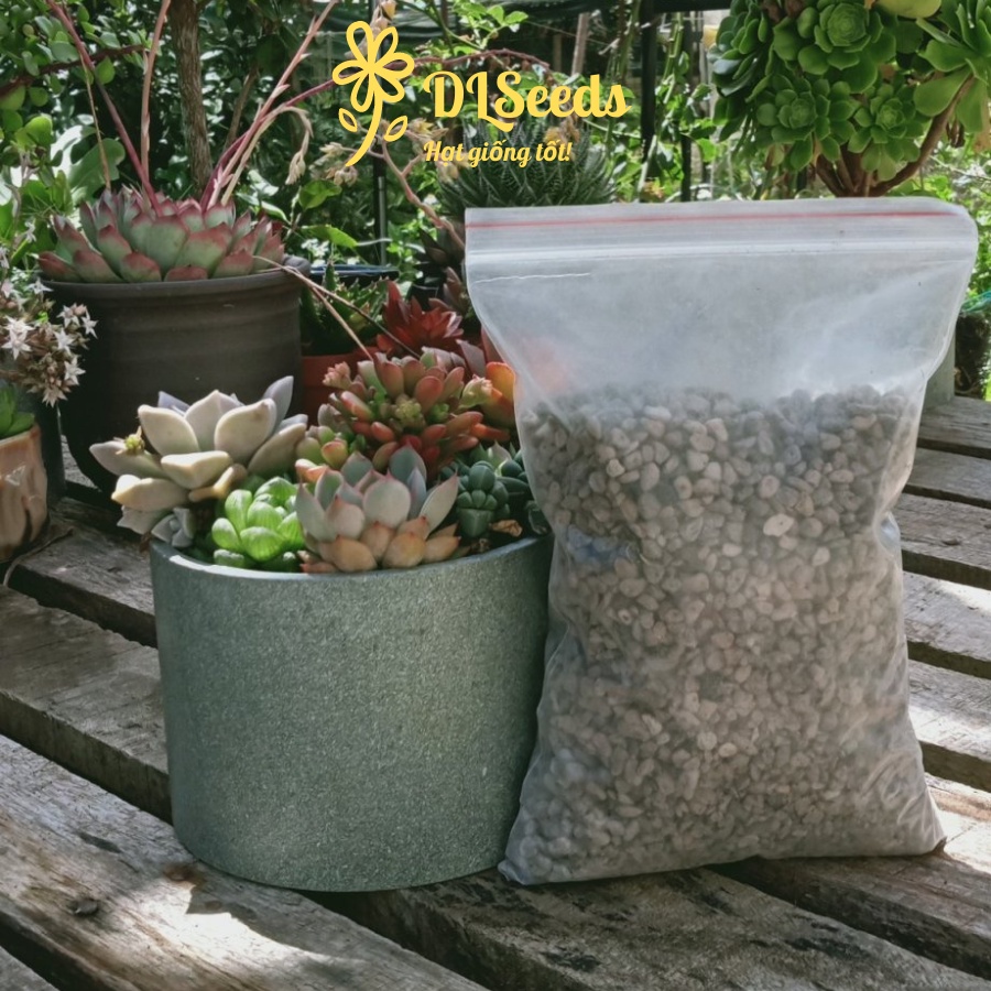 Đá Pumice indo size 3-6mm, đá trồng cây sen đá, kiểng lá,gói 1 lít