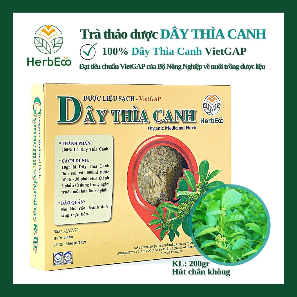 Trà Dây Thìa Canh HERBECO. Trà thảo mộc Dây Thìa Canh giảm tiểu đường, HbA1C, giảm cân