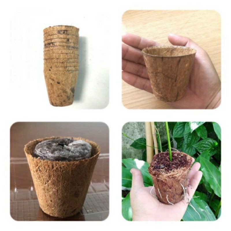 Combo 10 chậu xơ dừa ép nhiệt coir pot kt 10x10cm