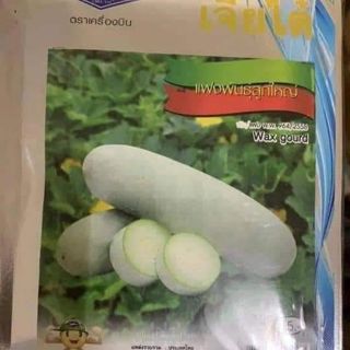 HẠT GIỐNG BÍ ĐAO SÁP THÁI LAN