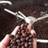 Cà phê bột rang mộc Buôn Mê Thuột DAKLAK  AURORA COFFEE