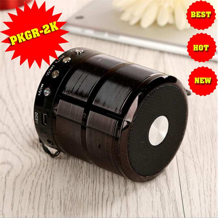 LOA BLUETOOTH WS-887