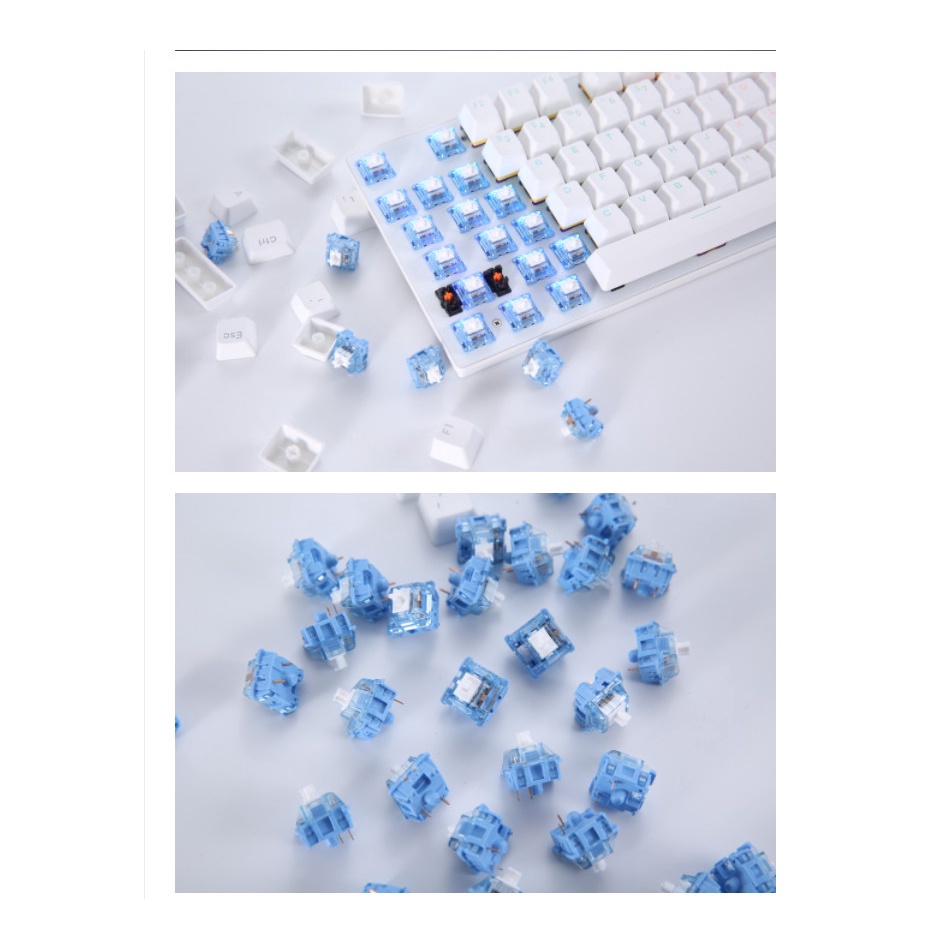 Switch thay nóng cho bàn phím cơ DAREU customized & pre-lubed switchs VIOLET GOLD| BLUE SKY