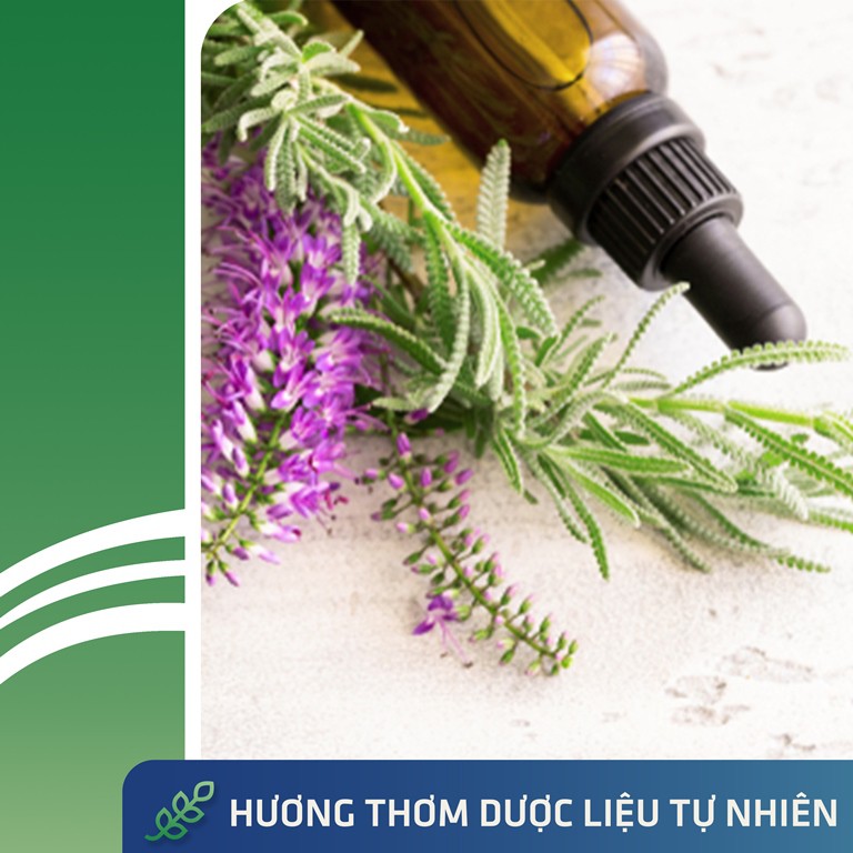 Ngăn Ngừa Rụng Tóc, Phục Hồi Tóc Hư Tổn Với Dermato 200 - Chiết Xuất Dược Liệu Từ Dược Liệu Thiên Nhiên