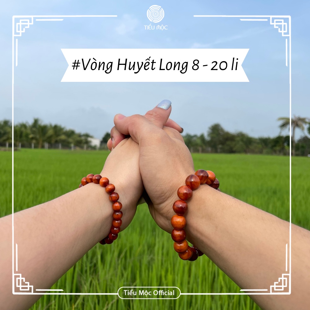 Vòng gỗ HUYẾT LONG, Vòng phong thủy, Vòng gỗ đôi: Size 8-20li, mang lại may mắn tài lộc