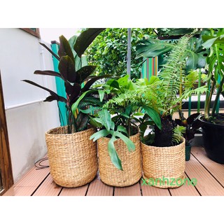 sọt lục bình trồng cây, đựng quần áo, vật dụng