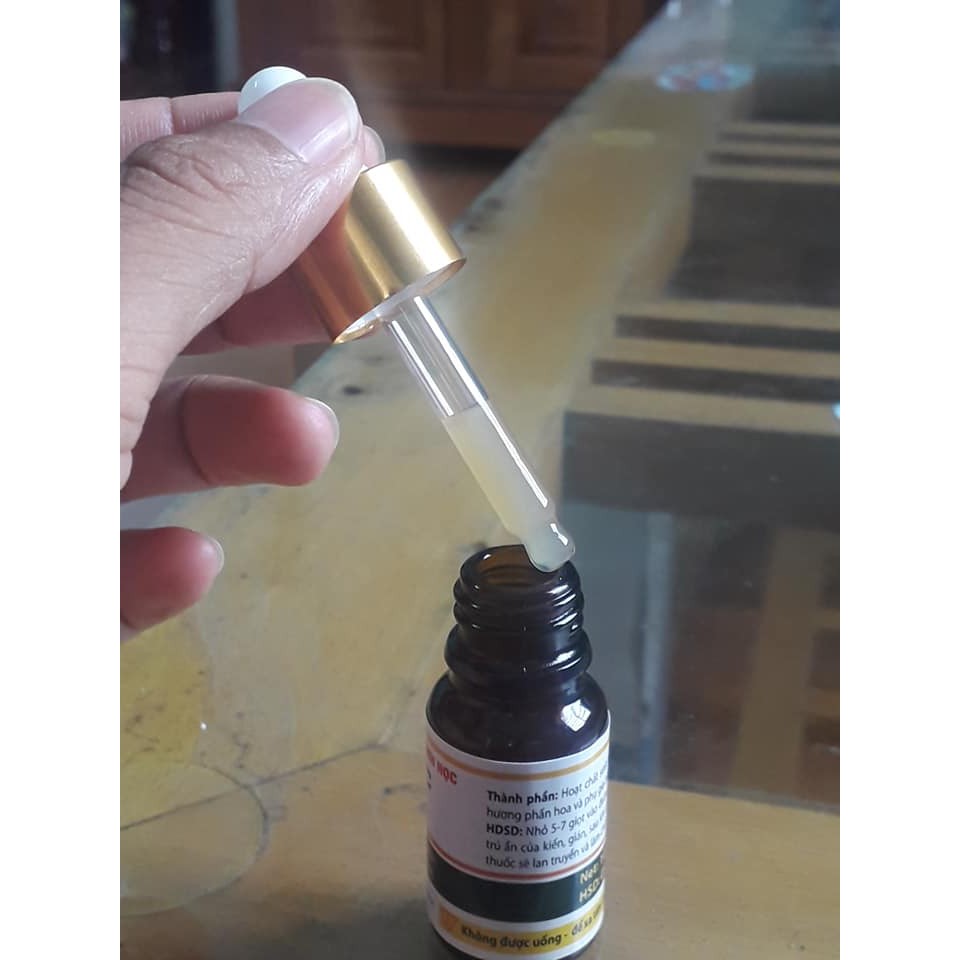 Thuốc diệt Kiến Gián sinh học ANTOC Lọ 10ml