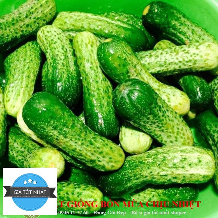 Hạt giống Dưa Bao Tử 10 Hạt