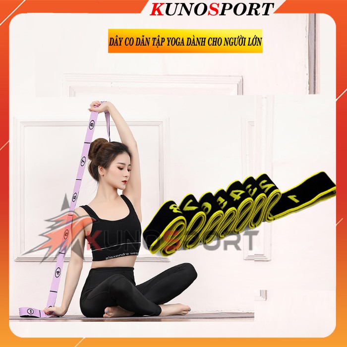 Dây kháng lực co dãn tập Yoga khiêu vũ chuyên dụng cho người lớn - D02