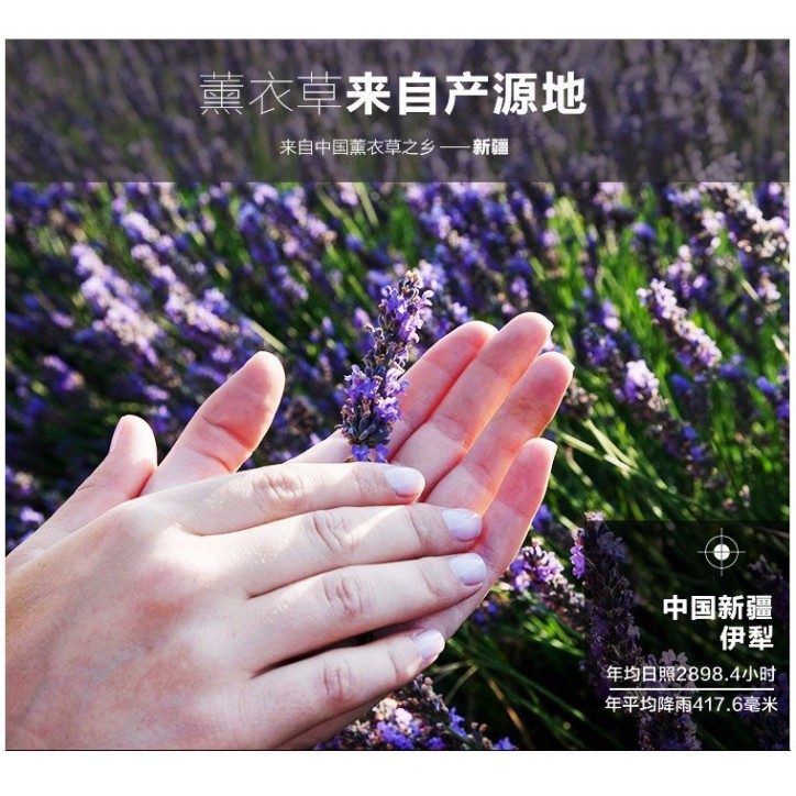 [RẺ VÔ ĐỊCH] Túi Thơm Hoa Oải Hương Lavender -Shop Uy tín