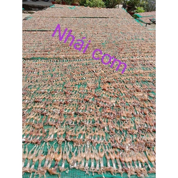 KHÔ NHÁI CƠM_VŨ NỮ CHÂN DÀI