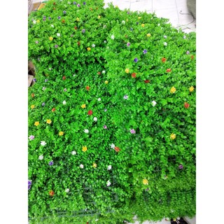 Tấm Thảm Cỏ Tai Chuột Nhân tạo PVC Có Hoa Nhí Loại 1