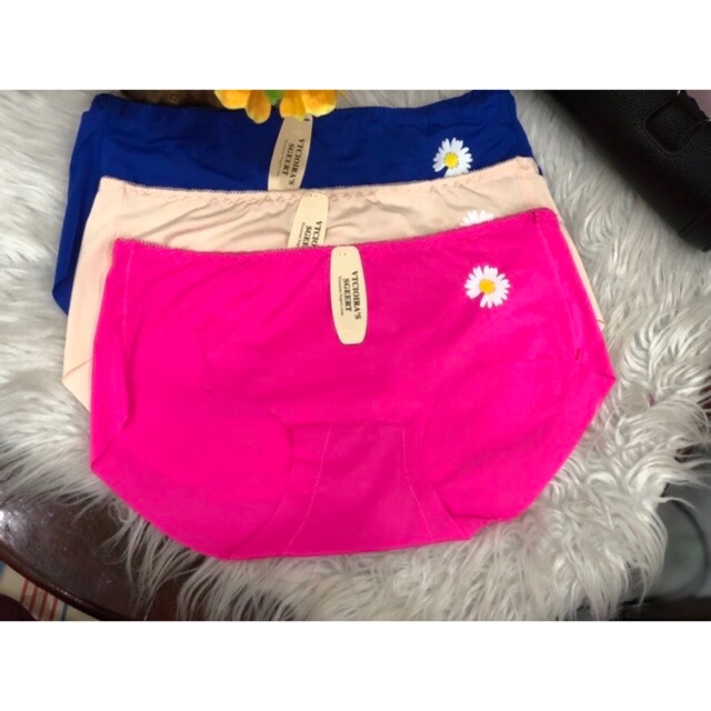 QUẦN SU TRƠN HOA CÚC HÓT HÍT