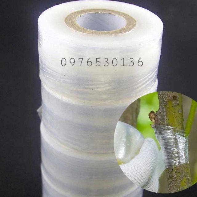 GIẤY GHÉP CÂY TỰ PHÂN HỦY