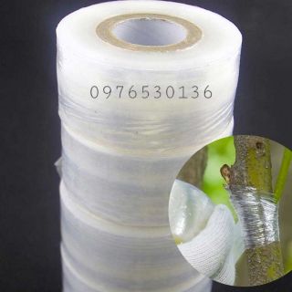 GIẤY GHÉP CÂY TỰ PHÂN HỦY