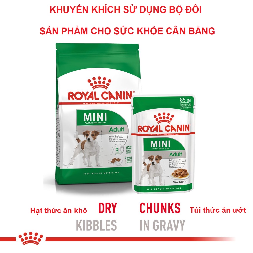 Pate cho Chó Royal canin Mini adult gói pate sốt 85g Gravy