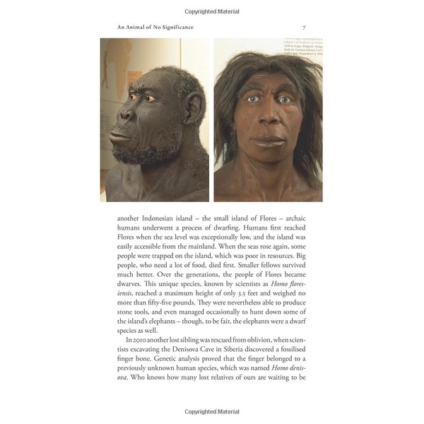 Sách Ngoại Văn - Sapiens A Brief History of Humankind