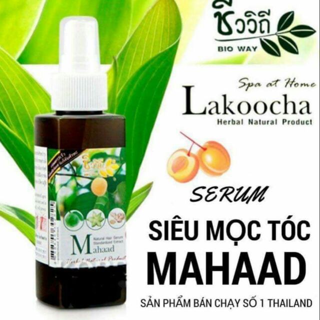 ..::✨Tinh Dầu Serum Xịt Mọc Thảo Tóc Cấp Tóc Sau 7 Ngày Thailand Lakocho Herbal Hair✨::..