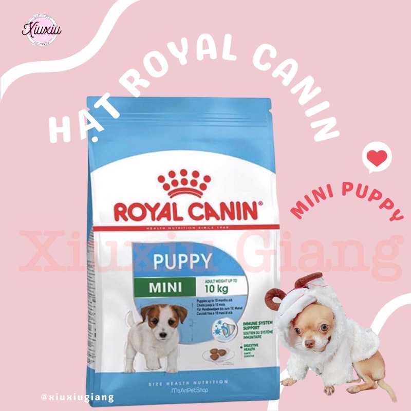 Hạt Royal Canin Mini Puppy 800gr - Xiuxiu Giang