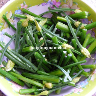 1GR - HẠT GIỐNG BÔNG HẸ