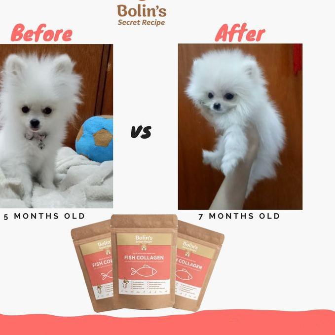 (Trung Quốc 12.12!! Mặt Nạ Collagen Nuôi Cá Sâu 50gr KD421