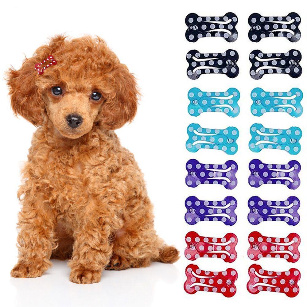 AARON1 Set 5 Kẹp Lông Chó Hình Khúc Xương Dễ Thương