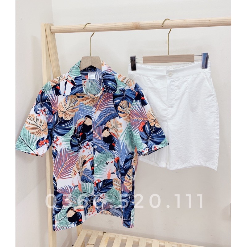 [Video- Đủ Size] Áo Sơ Mi Hoạ Tiết, Áo Đi Biển Chất Kate loại 1 Siêu Mát, Đẹp, Giá Rẻ | BigBuy360 - bigbuy360.vn