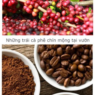 1 kg Cà phê Cầu Đất Ngon, Chất Lượng