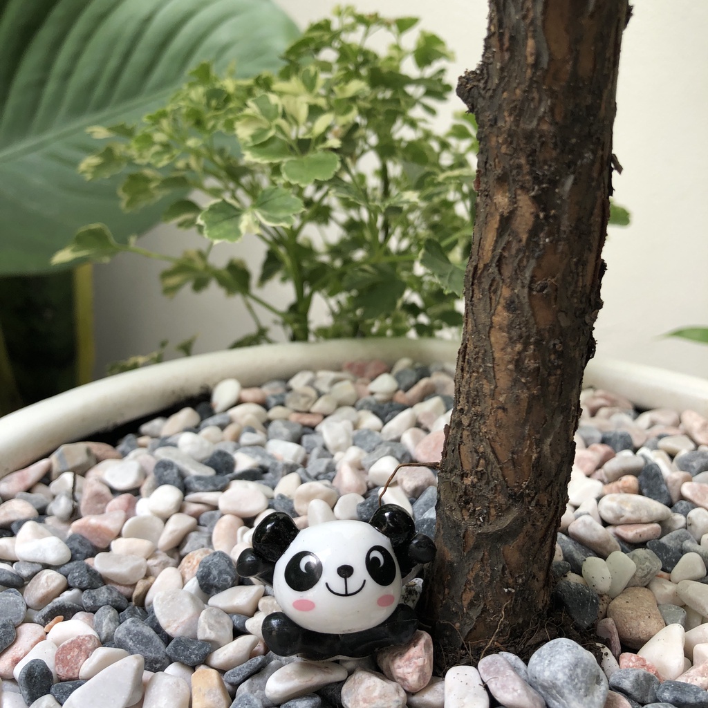 Phụ kiện tiểu cảnh gấu trúc trang trí sen đá, xương rồng, terrarium, cây cảnh mini, cây để bàn