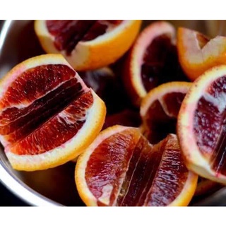 Cam máu Blood Orange (chuẩn giống)