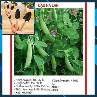 Hạt giống đậu Hà Lan - 20gram TẶNG BỘ LÀM VƯƠN MINI