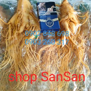 (Hàng có sẵn) Nhân Sâm tươi củ lớn