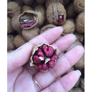 NHÂN ÓC CHÓ ĐỎ- MỸ-0.5KG