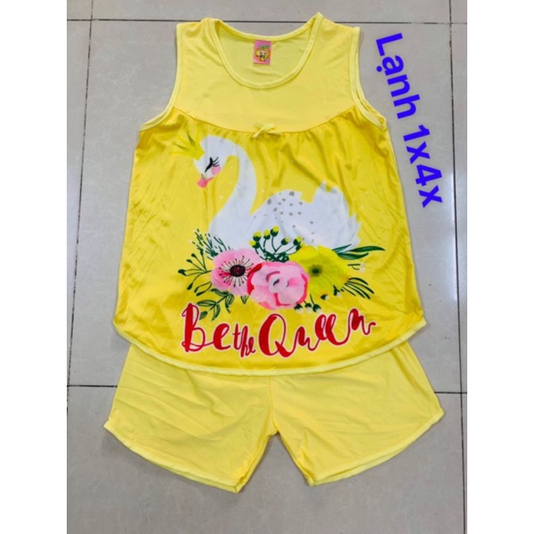 Bộ thun Lạnh lớn 3d dep