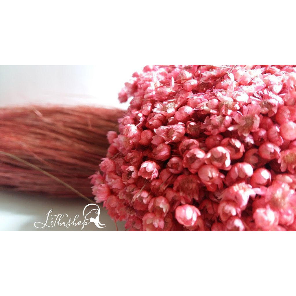 Bó hoa Glixia màu hồng mới