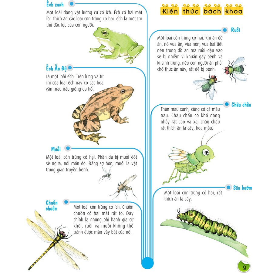 Sách: Bách Khoa Nuôi Dưỡng Thói Quen Tốt Cho Trẻ - Thói Quen Tốt Trong Học Tập