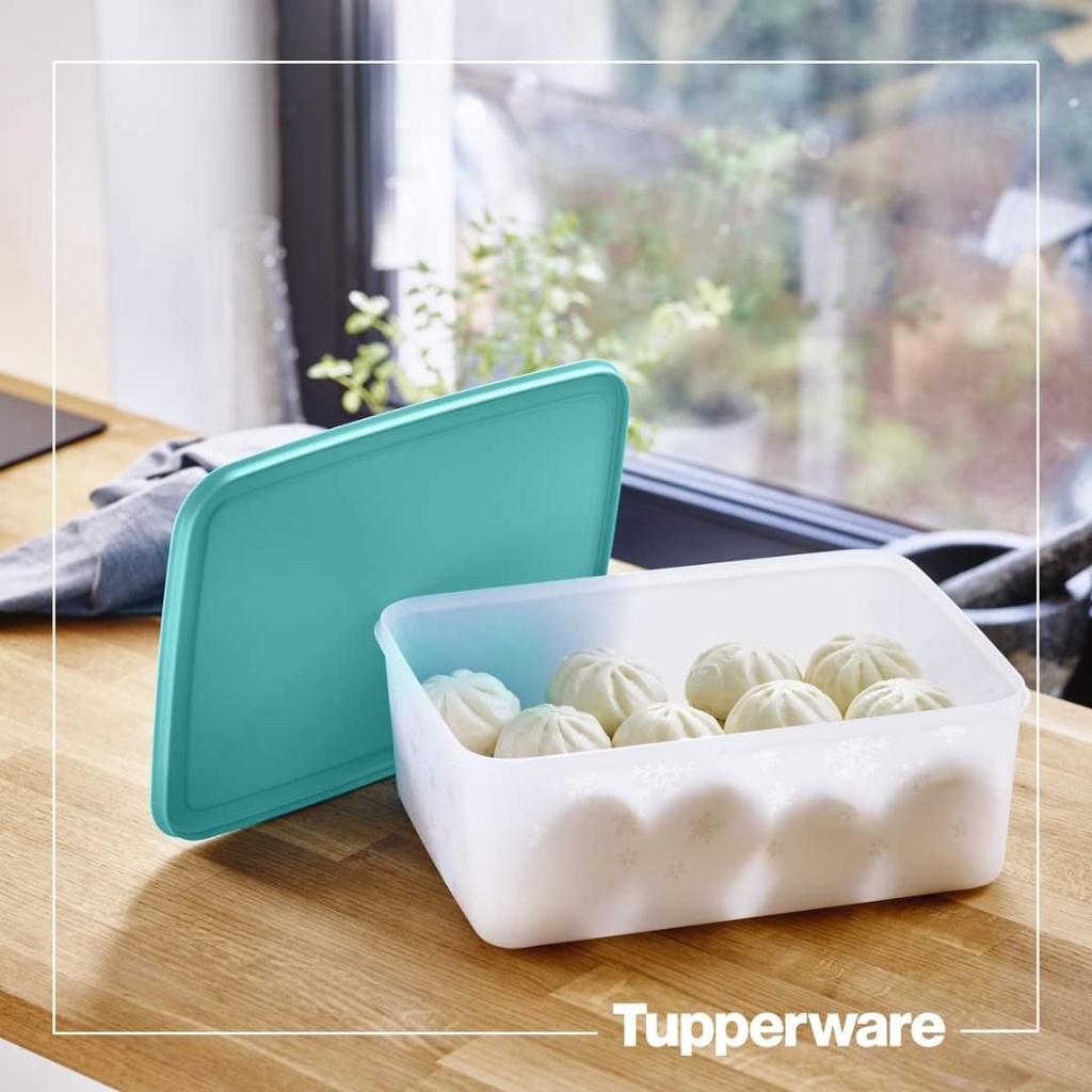 Hộp trữ đông trữ vừa nguyên con gà Tupperware 5.7L, chất liệu dẻo, nhựa nguyên sinh an toàn sức khỏe