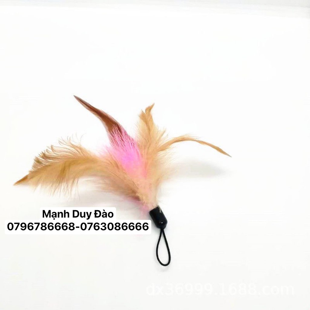 XẢ HÀNG SỐC - CẦN CÂU MÈO LOẠI ĐẸP - ĐỒ CHƠI CHO MÈO