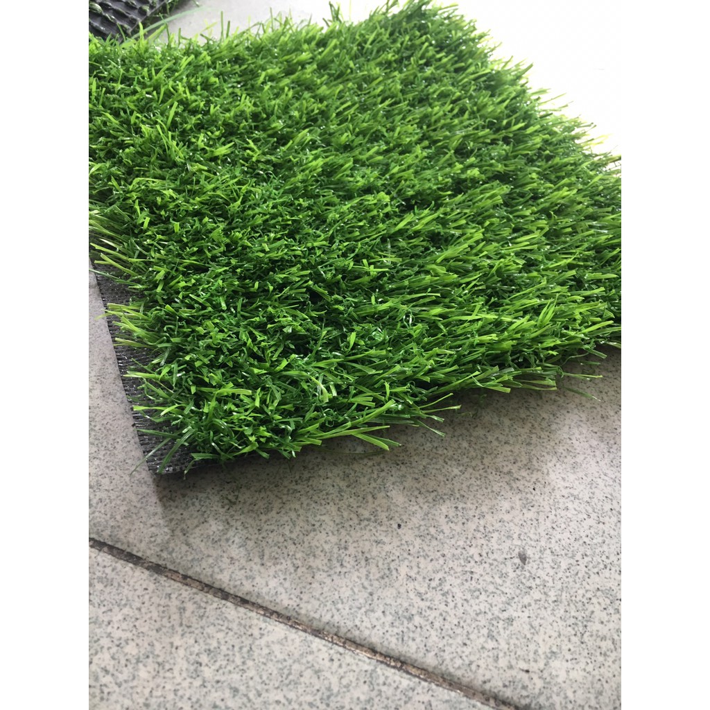 thảm cỏ nhân tạo cao cấp 2cm giá bán tính theo m2 khoe 2m