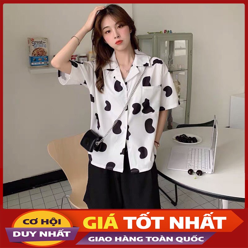 Áo Sơ Mi Bò Sữa Chất Siêu Mát Bao Xịn M053-Violet