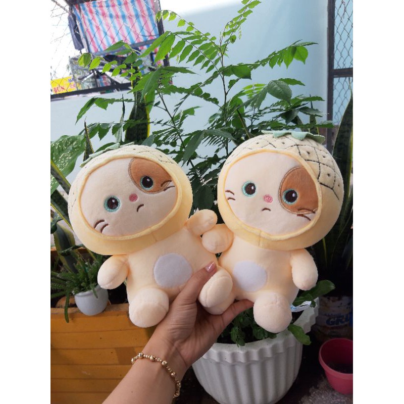 Gấu Bông Mèo Con Cosplay | BigBuy360 - bigbuy360.vn