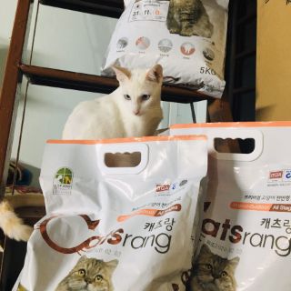 HẠT MÈO CATSRANG  (TÚI ZIP)