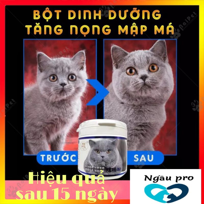 Bột Tăng nọng tạo phom mặt cho mèo , Bột dinh dưỡng tăng cân cho mèo giúp mập má Strong Gills Friend baby hộp 200g