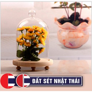 LỒNG THỦY TINH PHA LÊ ĐẾ GỖ TRẮNG 3CM - NÚM TRÒN