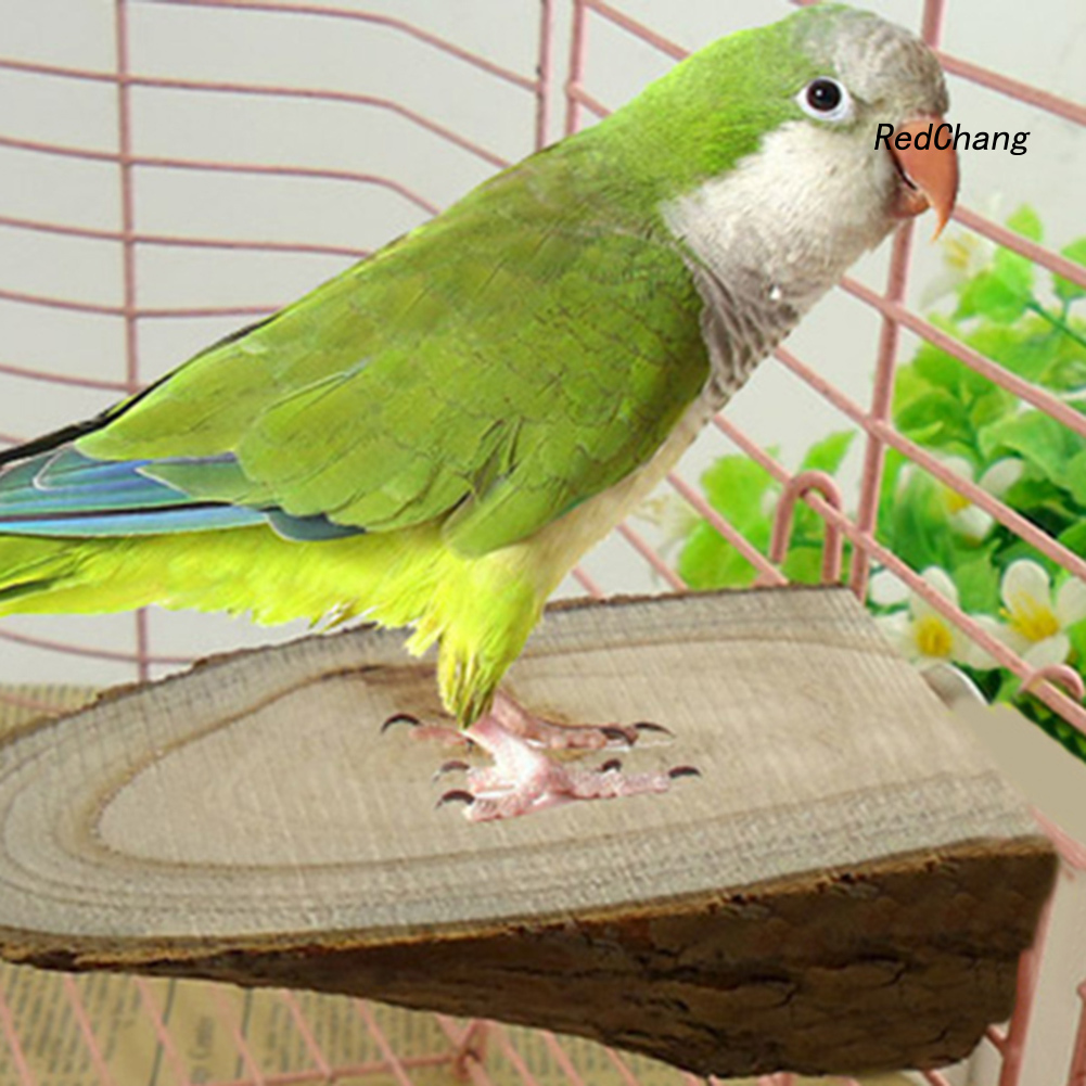 Bệ Đứng Bằng Gỗ Đồ Chơi Cho Chim / Vẹt