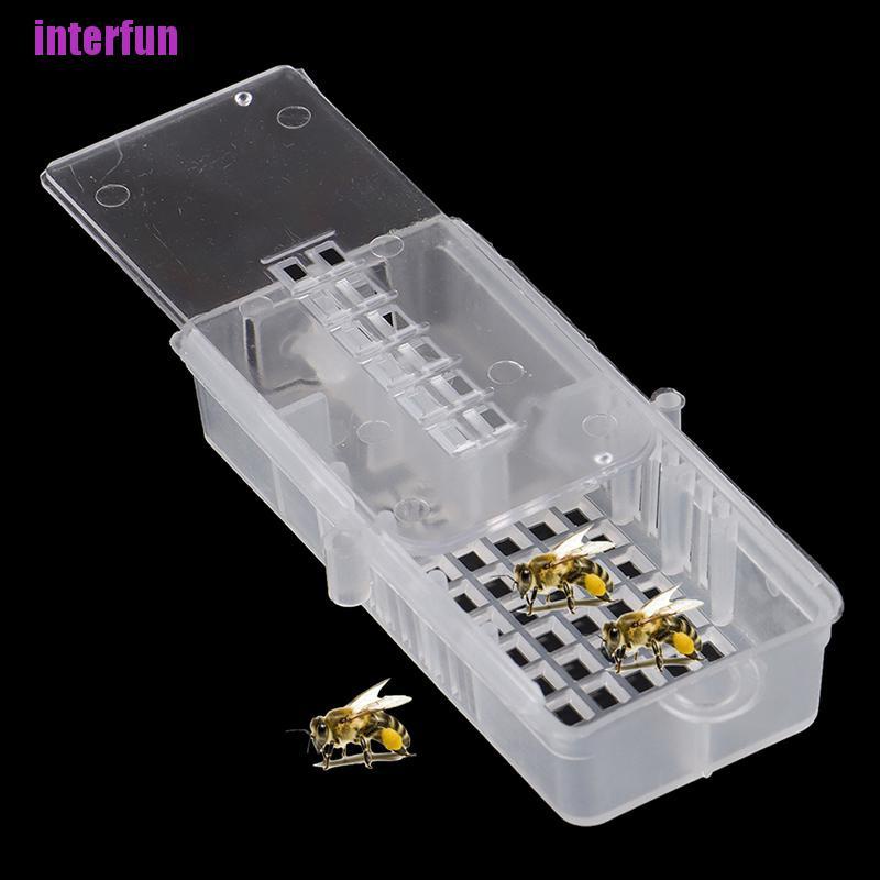 Bộ Đồ Chơi Chú Ong Hoàng Gia Tỉ Lệ 1 / 10