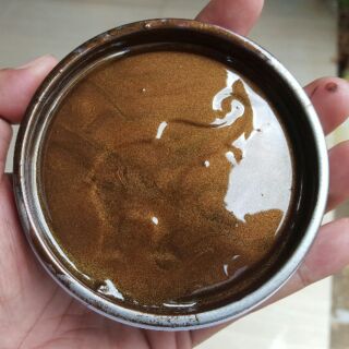 Sơn sắt mạ kẽm màu nhủ cánh gián 1K cao cấp Yes Paint (800gr)