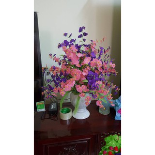 Hoa lụa lan vũ nữ